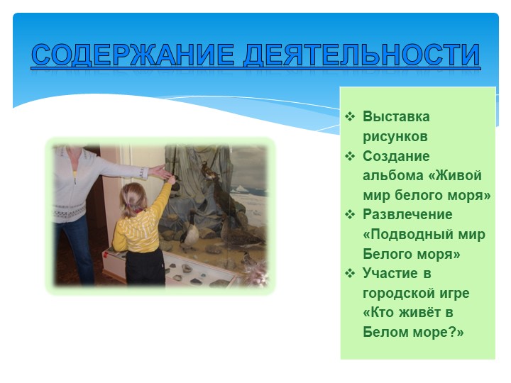 Презентация проекта "Белое море"