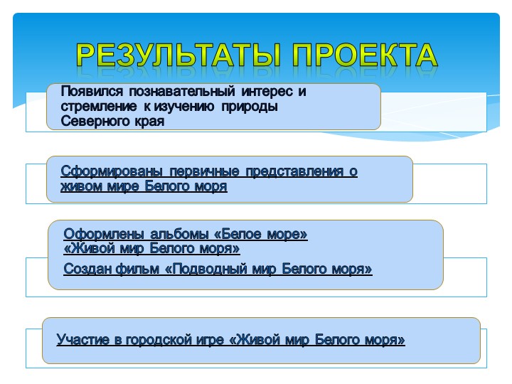 Презентация проекта "Белое море"