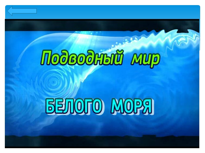 Презентация проекта "Белое море"