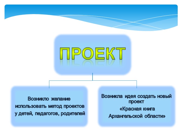 Презентация проекта "Белое море"