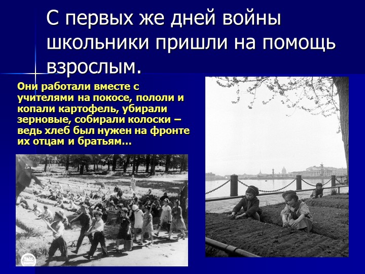 Презентация на тему " ВОВ"