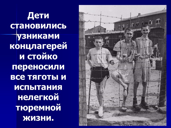 Презентация на тему " ВОВ"
