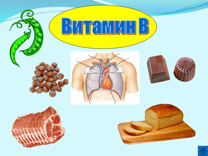 Презентация на тему " Витамины"