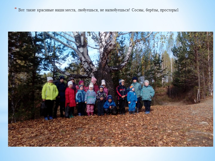 Презентация - фотоотчёт "Экологический поход"