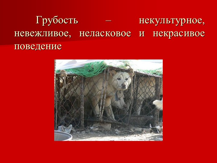 Презентация на тему "Вежливость и доброта"