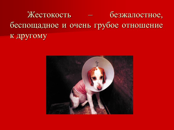 Презентация на тему "Вежливость и доброта"