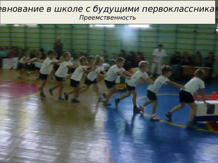 Организация развивающей предметно-пространственной образовательной среды в ДОУ. Презентация