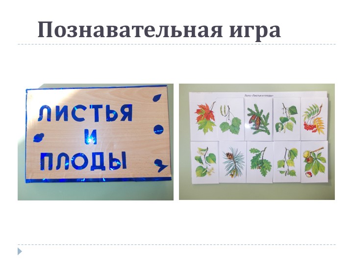 Презентация на тему: «Роль дидактической игры в речевом развитии ребенка.»