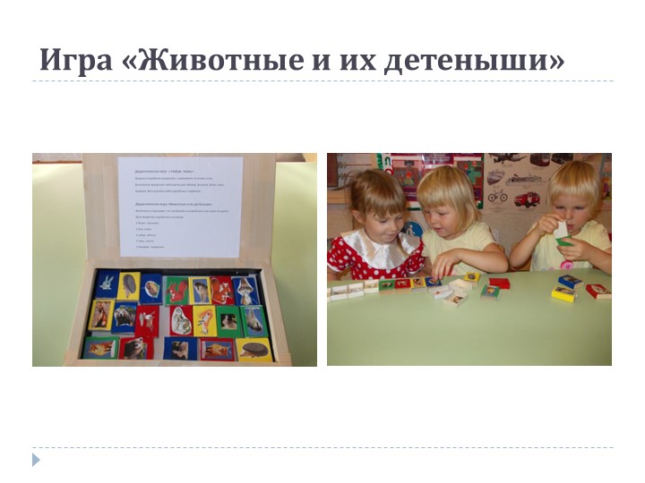 Презентация на тему: «Роль дидактической игры в речевом развитии ребенка.»