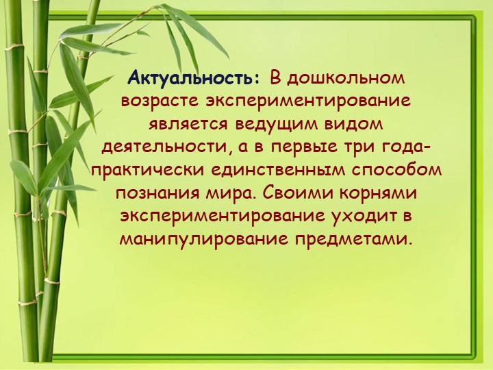 Презентация проекта в 1 младшей группе "Лучок"