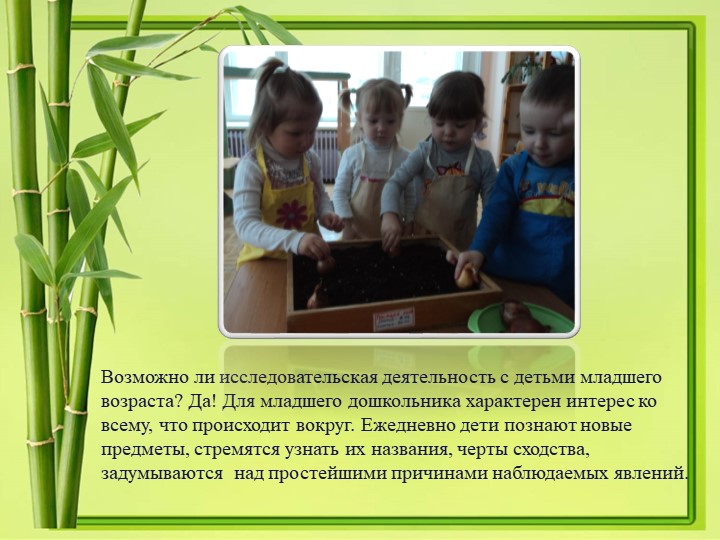 Презентация проекта в 1 младшей группе "Лучок"