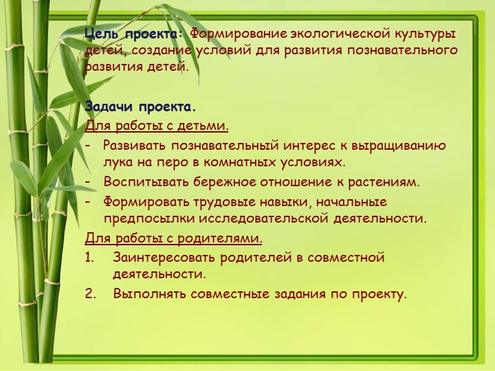 Презентация проекта в 1 младшей группе "Лучок"