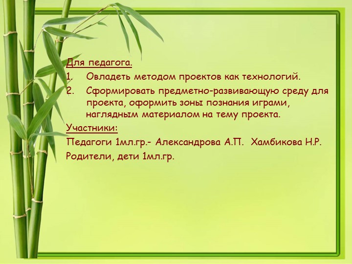 Презентация проекта в 1 младшей группе "Лучок"