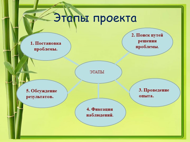 Презентация проекта в 1 младшей группе "Лучок"