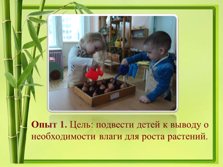 Презентация проекта в 1 младшей группе "Лучок"