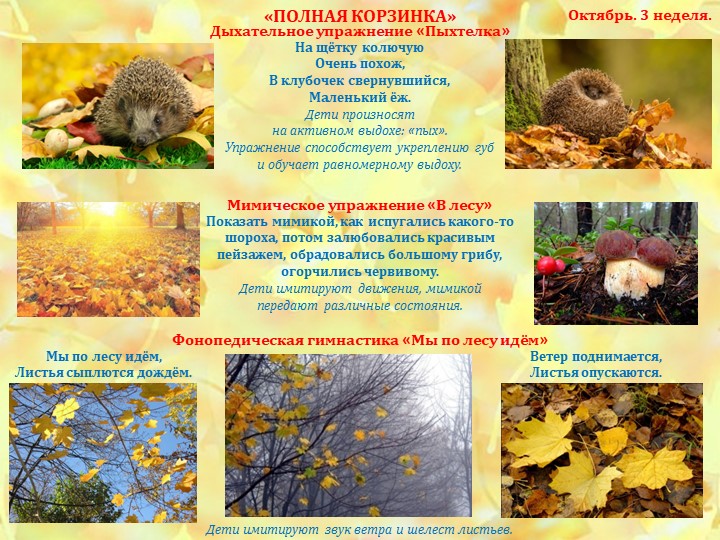 Презентация по интеграции логоритмического компонента "Золотая осень приглашает в гости"