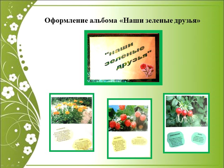 Презентация по экологии "Зелёная аптека"