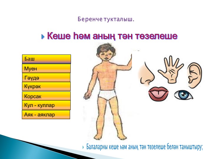 Уртанчылар төркемендә сәламәтлек атнасы