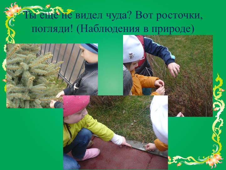 Презентация "По экологическим дорожкам"