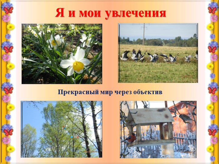 Муниципальный конкурс Воспитатель года