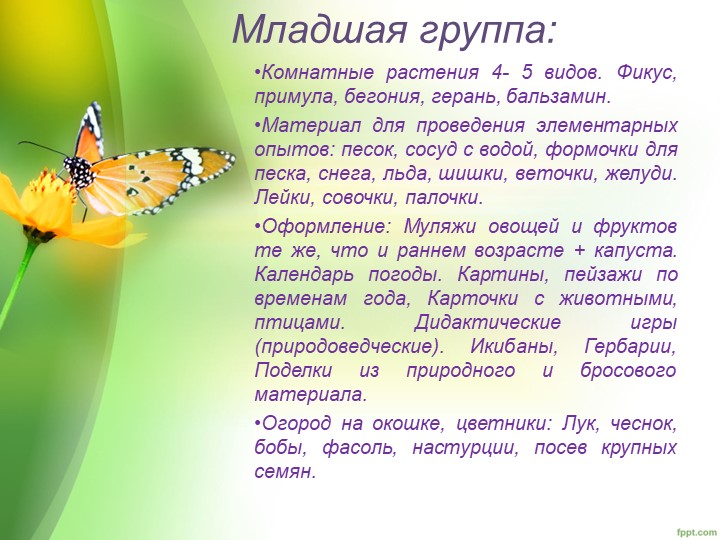 "Уголок природы в ДОУ"