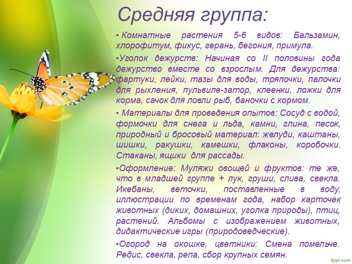 "Уголок природы в ДОУ"