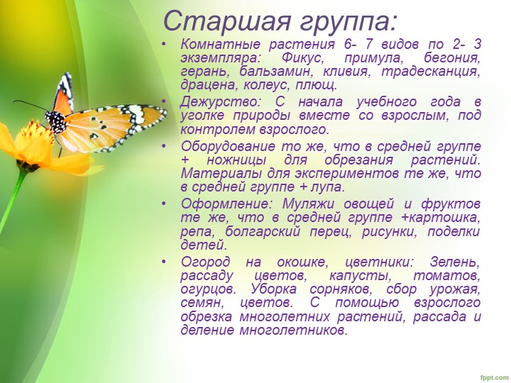 "Уголок природы в ДОУ"