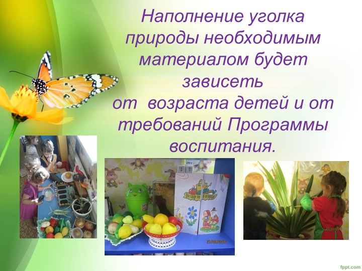 "Уголок природы в ДОУ"