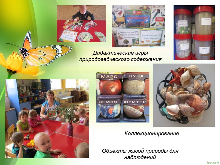 "Уголок природы в ДОУ"