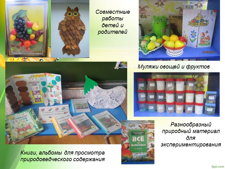 "Уголок природы в ДОУ"