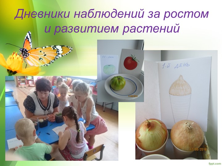 "Уголок природы в ДОУ"