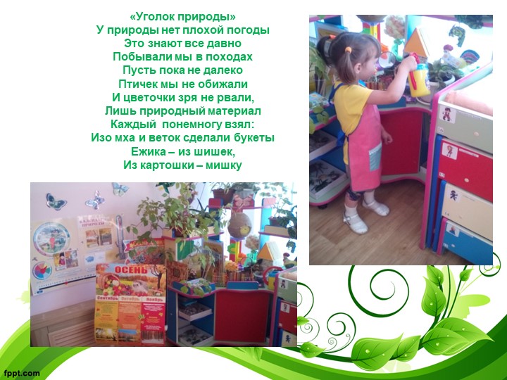 Презентация средней группы "Кузнечики"