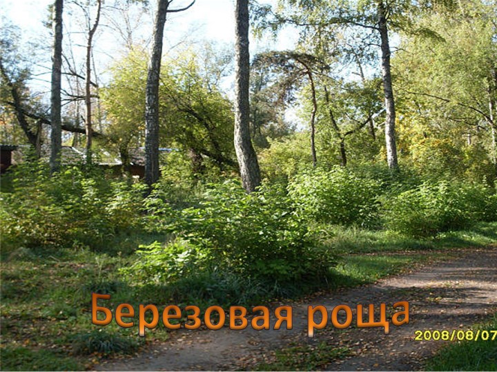 Презентация к занятию Мой поселок в будущем