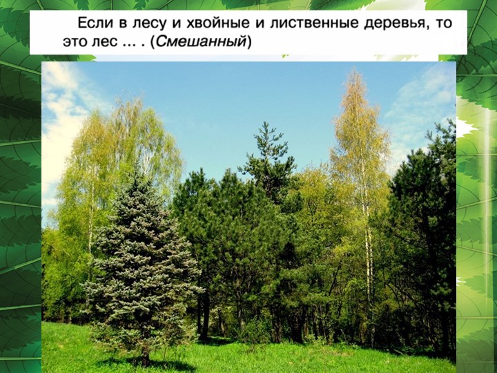 Презентация к пособию для дошкольников "Знакомимся с окружающим миром"(автор О.В.Чистякова) Занятие 6
