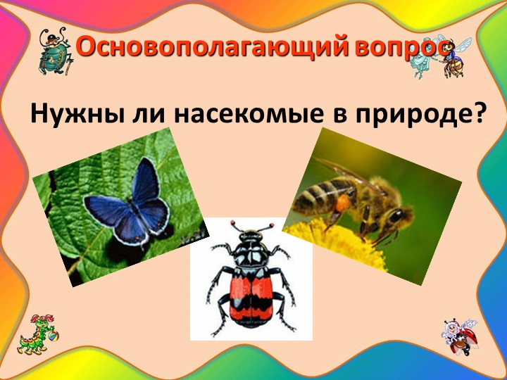 Проект "Наши соседи - насекомые"