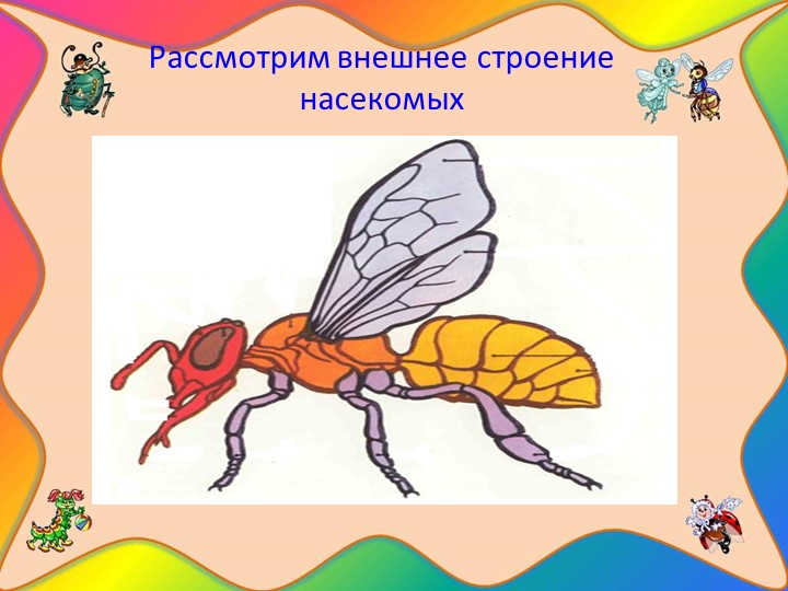 Проект "Наши соседи - насекомые"