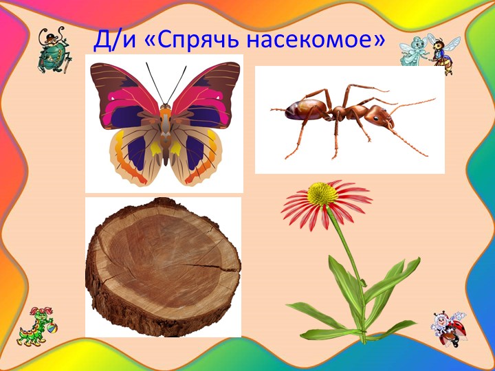 Проект "Наши соседи - насекомые"