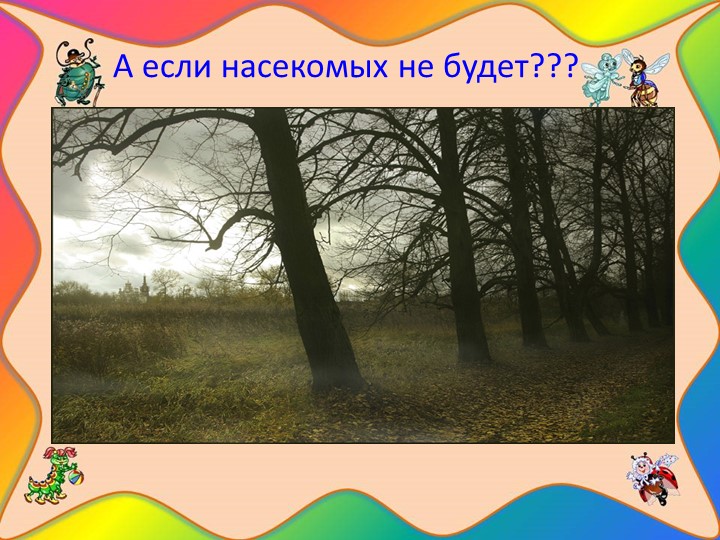 Проект "Наши соседи - насекомые"