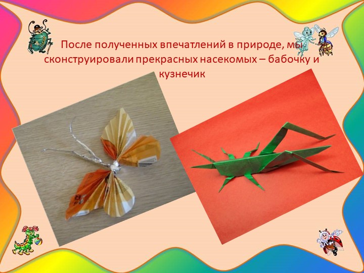 Проект "Наши соседи - насекомые"