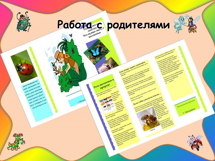 Проект "Наши соседи - насекомые"