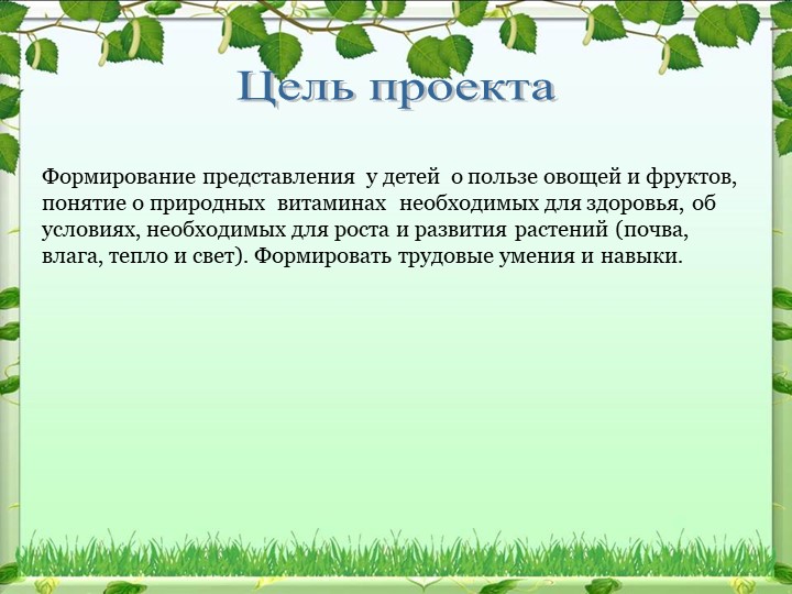 Экологический проект на тему: «Овощи на грядке, здоровье в порядке!»
