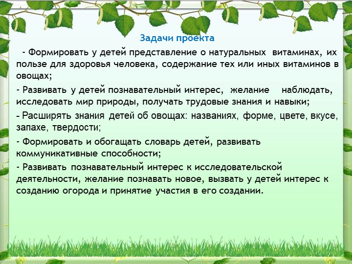 Экологический проект на тему: «Овощи на грядке, здоровье в порядке!»