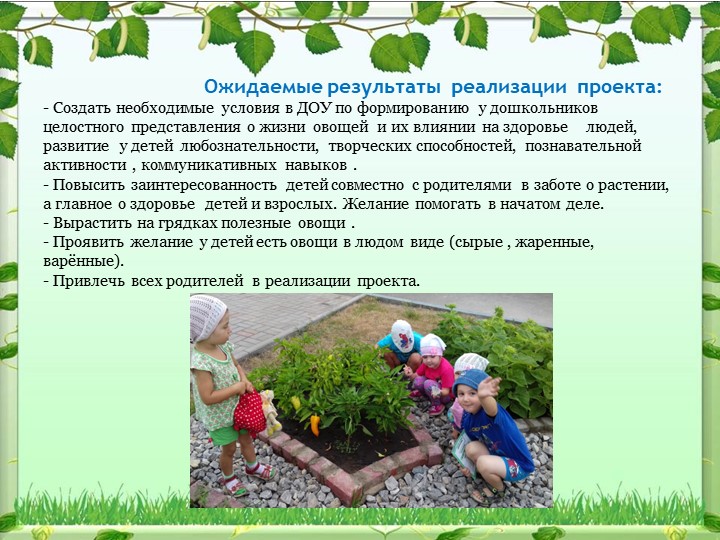 Экологический проект на тему: «Овощи на грядке, здоровье в порядке!»