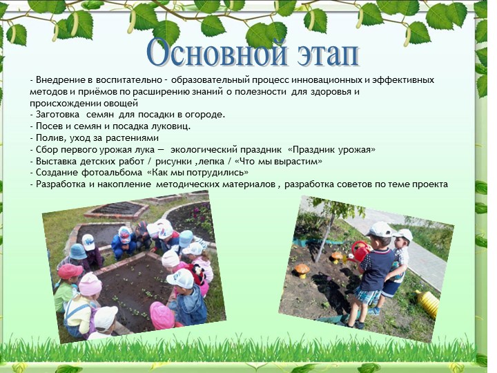 Экологический проект на тему: «Овощи на грядке, здоровье в порядке!»