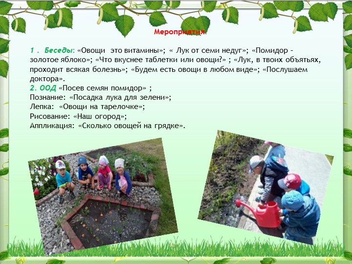 Экологический проект на тему: «Овощи на грядке, здоровье в порядке!»