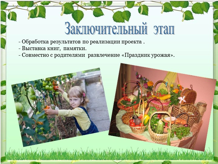 Экологический проект на тему: «Овощи на грядке, здоровье в порядке!»