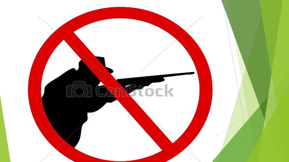Презентация "Берегите птиц!" к экологическому проекту для подготовительной группы