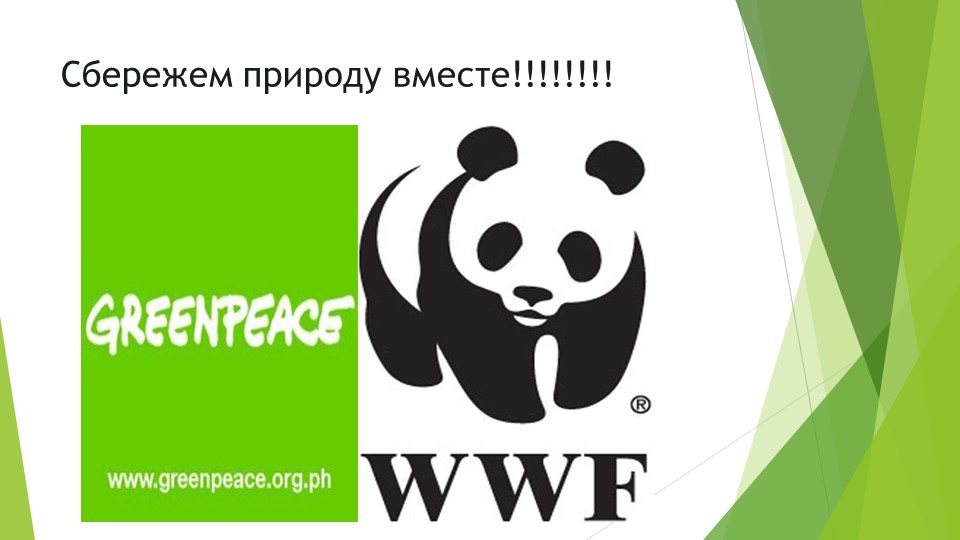 Презентация "Берегите птиц!" к экологическому проекту для подготовительной группы