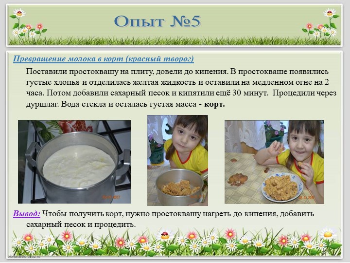 Детский исследовательский проект "Полезные продукты из молока"