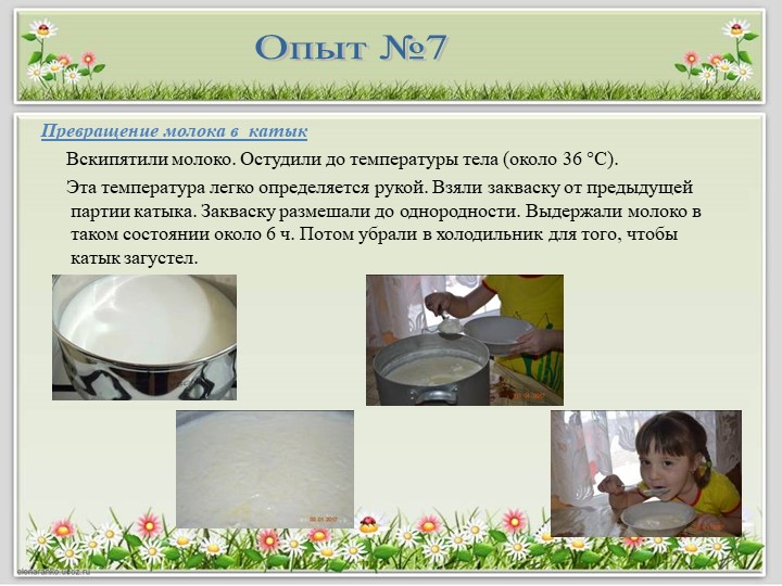 Детский исследовательский проект "Полезные продукты из молока"